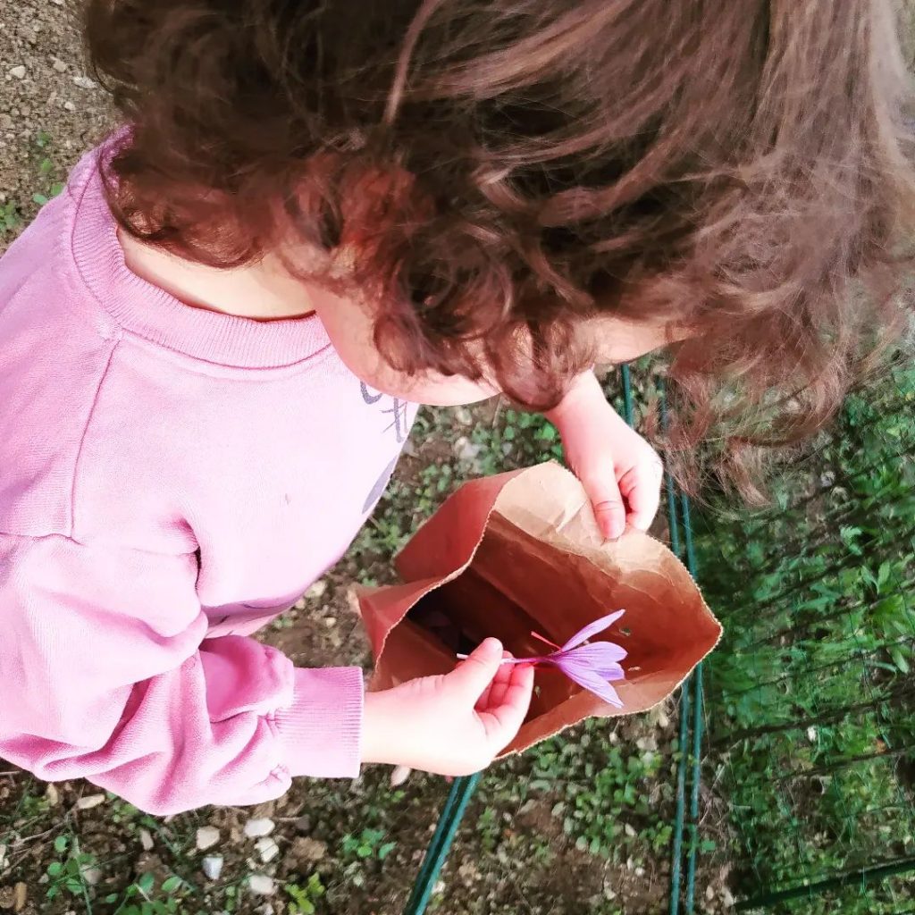 312725176_613168373872840_8957448099295106128_n