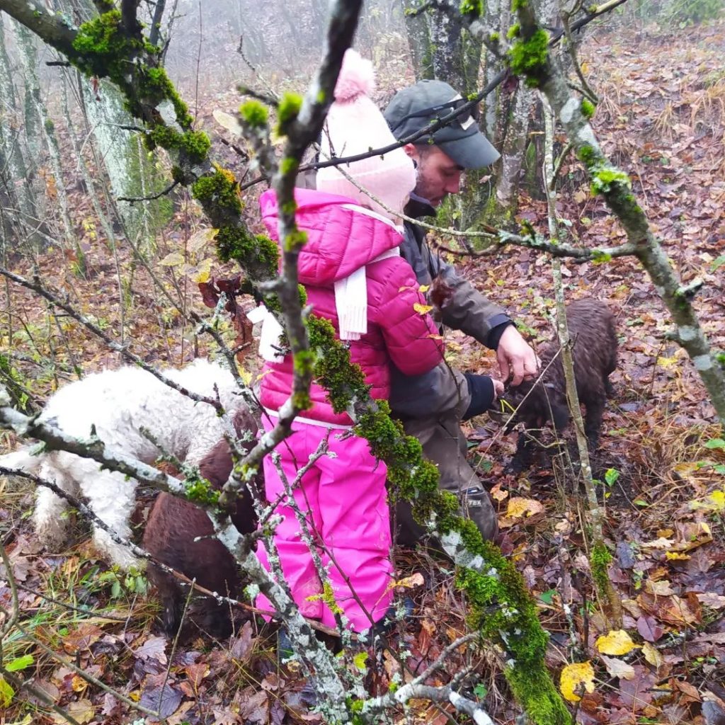 318458174_2018467748347019_3592344492669591415_n