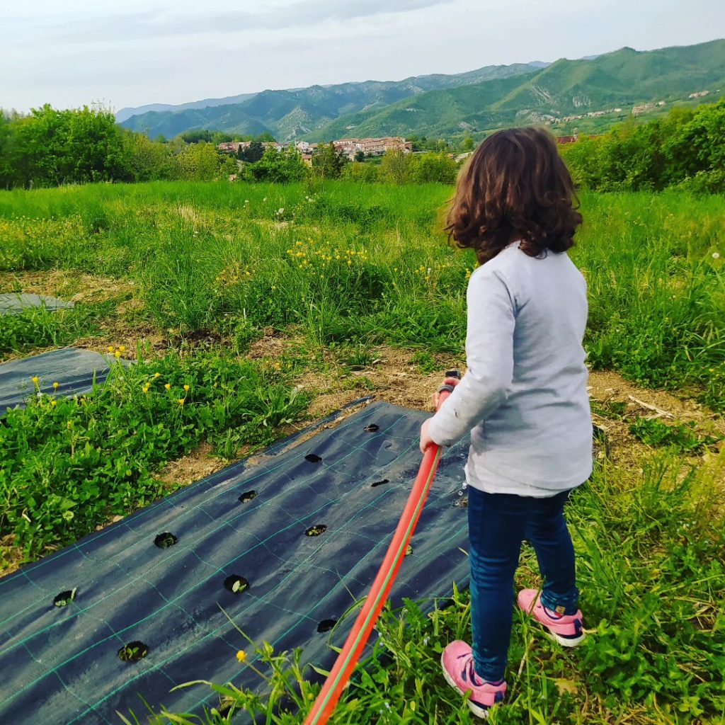 343745489_773718997445317_1708787821081093201_n