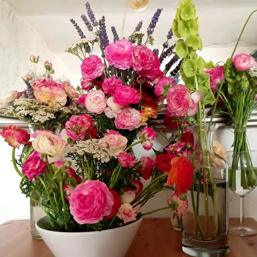 357349193_2156297551230704_6416466335145663862_n