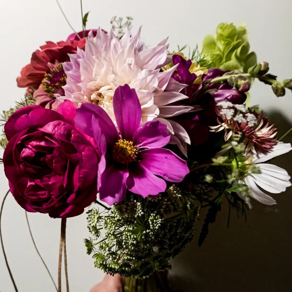 366052390_2179361125591013_313417427467951199_n