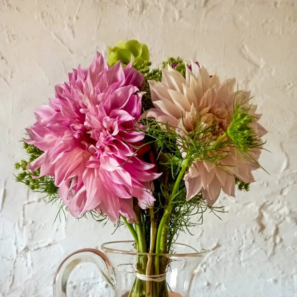 366367214_2180769315450194_5106884237472876649_n