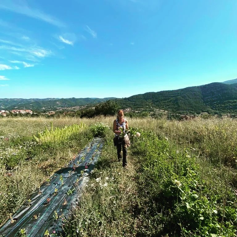 366610645_2182090335318092_1904594660186208020_n