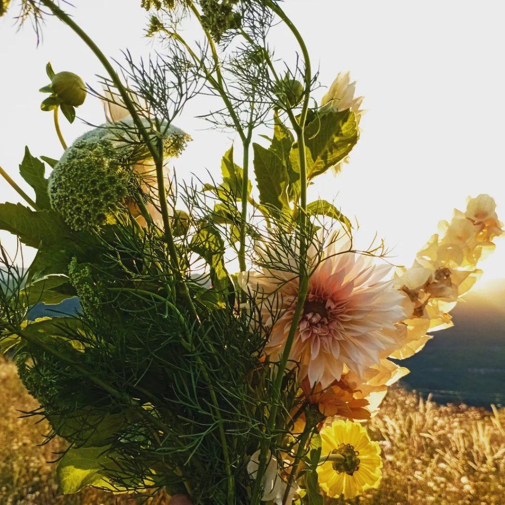 366740297_2182619328598526_3011221198269258645_n (1)