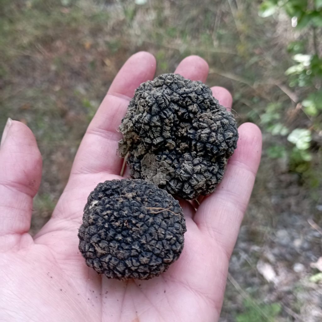 5fdb3719-5c92-42de-abe8-c1289fe01afb