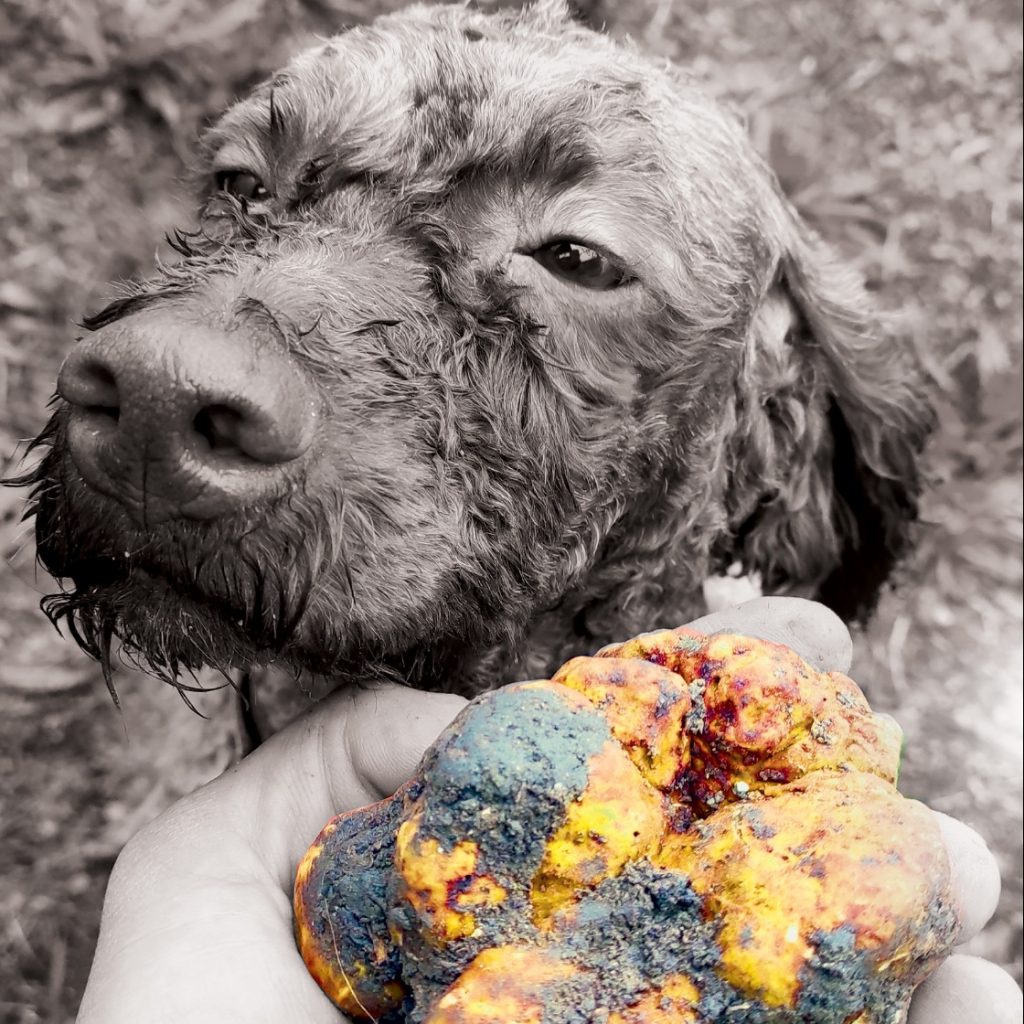 WhatsApp Image 2023-08-21 at 14.53.44 (2)